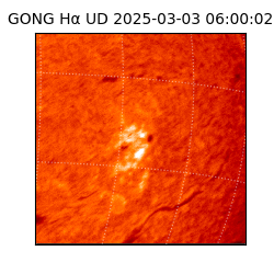 gong - 2025-03-03T06:00:02