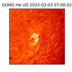 gong - 2025-03-03T07:00:02