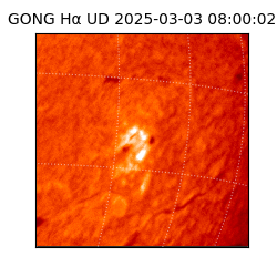 gong - 2025-03-03T08:00:02