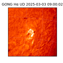 gong - 2025-03-03T09:00:02