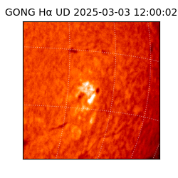 gong - 2025-03-03T12:00:02