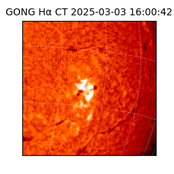 gong - 2025-03-03T16:00:42