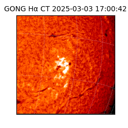 gong - 2025-03-03T17:00:42