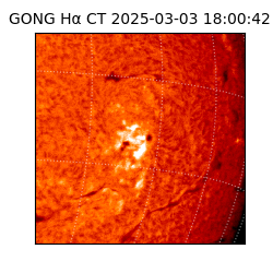 gong - 2025-03-03T18:00:42