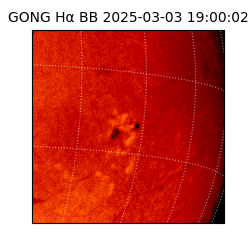 gong - 2025-03-03T19:00:02