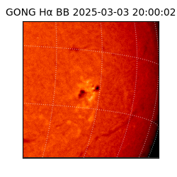 gong - 2025-03-03T20:00:02