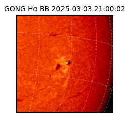 gong - 2025-03-03T21:00:02