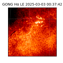 gong - 2025-03-03T00:37:42