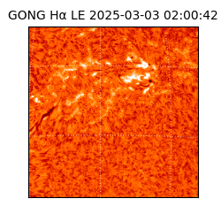 gong - 2025-03-03T02:00:42