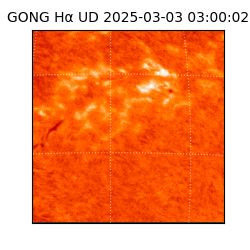 gong - 2025-03-03T03:00:02