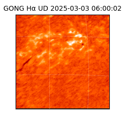 gong - 2025-03-03T06:00:02