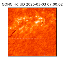 gong - 2025-03-03T07:00:02