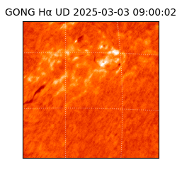 gong - 2025-03-03T09:00:02