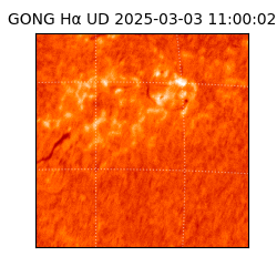 gong - 2025-03-03T11:00:02