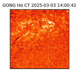 gong - 2025-03-03T14:00:42