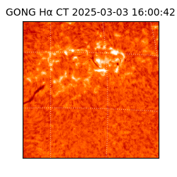 gong - 2025-03-03T16:00:42