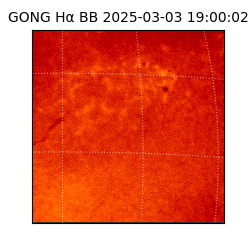 gong - 2025-03-03T19:00:02