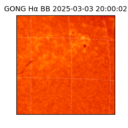 gong - 2025-03-03T20:00:02