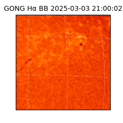 gong - 2025-03-03T21:00:02