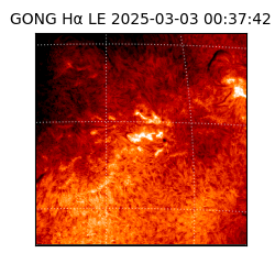 gong - 2025-03-03T00:37:42