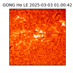 gong - 2025-03-03T01:00:42