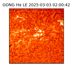 gong - 2025-03-03T02:00:42