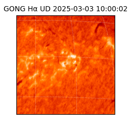 gong - 2025-03-03T10:00:02