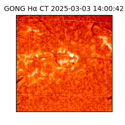 gong - 2025-03-03T14:00:42