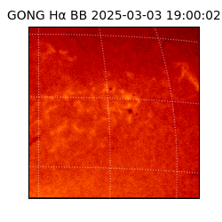 gong - 2025-03-03T19:00:02