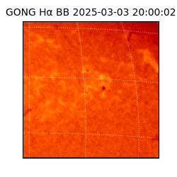 gong - 2025-03-03T20:00:02