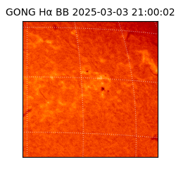 gong - 2025-03-03T21:00:02