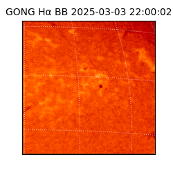 gong - 2025-03-03T22:00:02