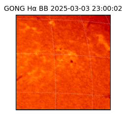 gong - 2025-03-03T23:00:02