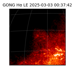 gong - 2025-03-03T00:37:42