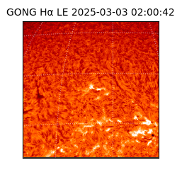 gong - 2025-03-03T02:00:42