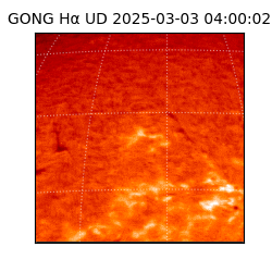 gong - 2025-03-03T04:00:02