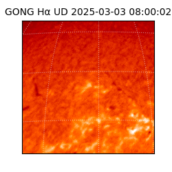 gong - 2025-03-03T08:00:02