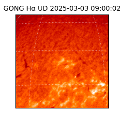 gong - 2025-03-03T09:00:02