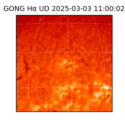 gong - 2025-03-03T11:00:02