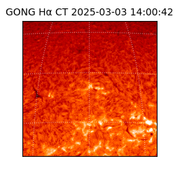 gong - 2025-03-03T14:00:42