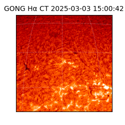 gong - 2025-03-03T15:00:42