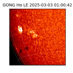 gong - 2025-03-03T01:00:42