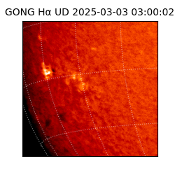 gong - 2025-03-03T03:00:02