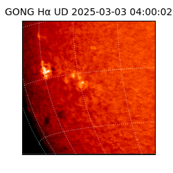 gong - 2025-03-03T04:00:02