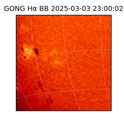 gong - 2025-03-03T23:00:02