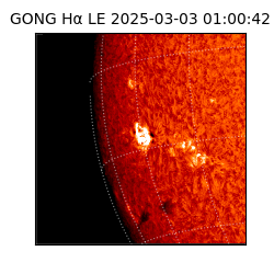 gong - 2025-03-03T01:00:42