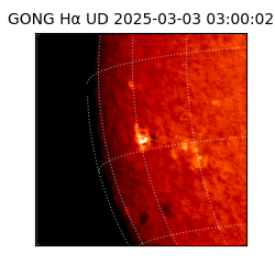gong - 2025-03-03T03:00:02