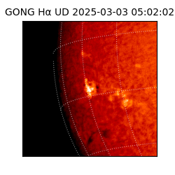 gong - 2025-03-03T05:02:02