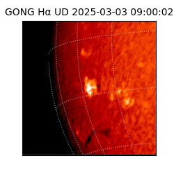gong - 2025-03-03T09:00:02