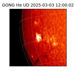 gong - 2025-03-03T12:00:02